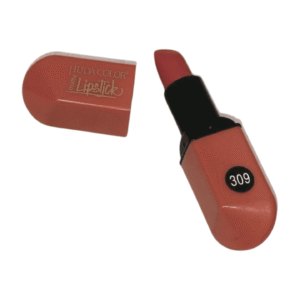 HUDACOLOR Matte Lipstick, Shade 309
